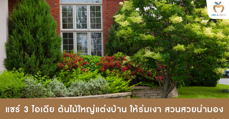 ไอเดีย ต้นไม้ใหญ่แต่งบ้าน ให้ร่มเงา สวนสวยน่ามอง