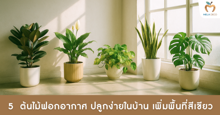 5 ต้นไม้ฟอกอากาศ