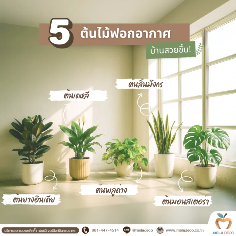 ต้นไม้ฟอกอากาศตกแต่งมุมบิวท์อินในบ้าน